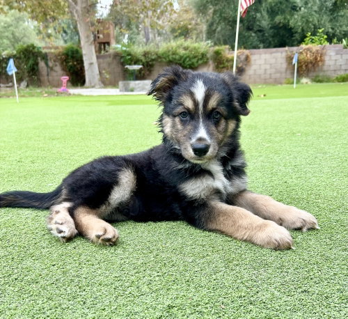 Photo 4 of Murphy
