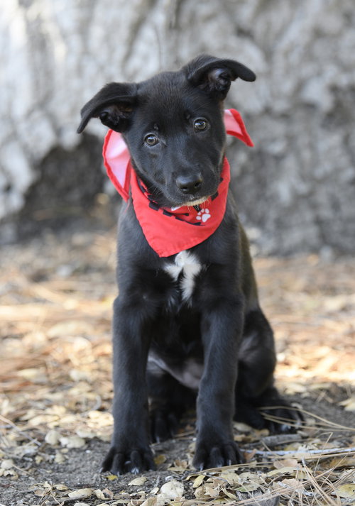 Photo 2 of Moxie