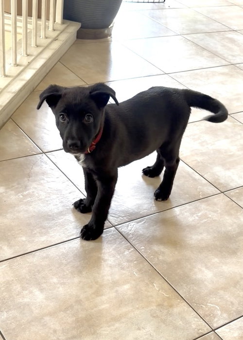 Photo 3 of Moxie