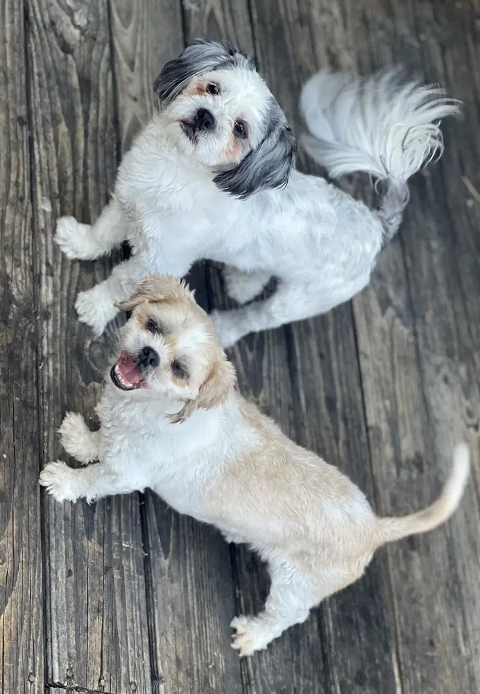 Benson And Bailey image 3