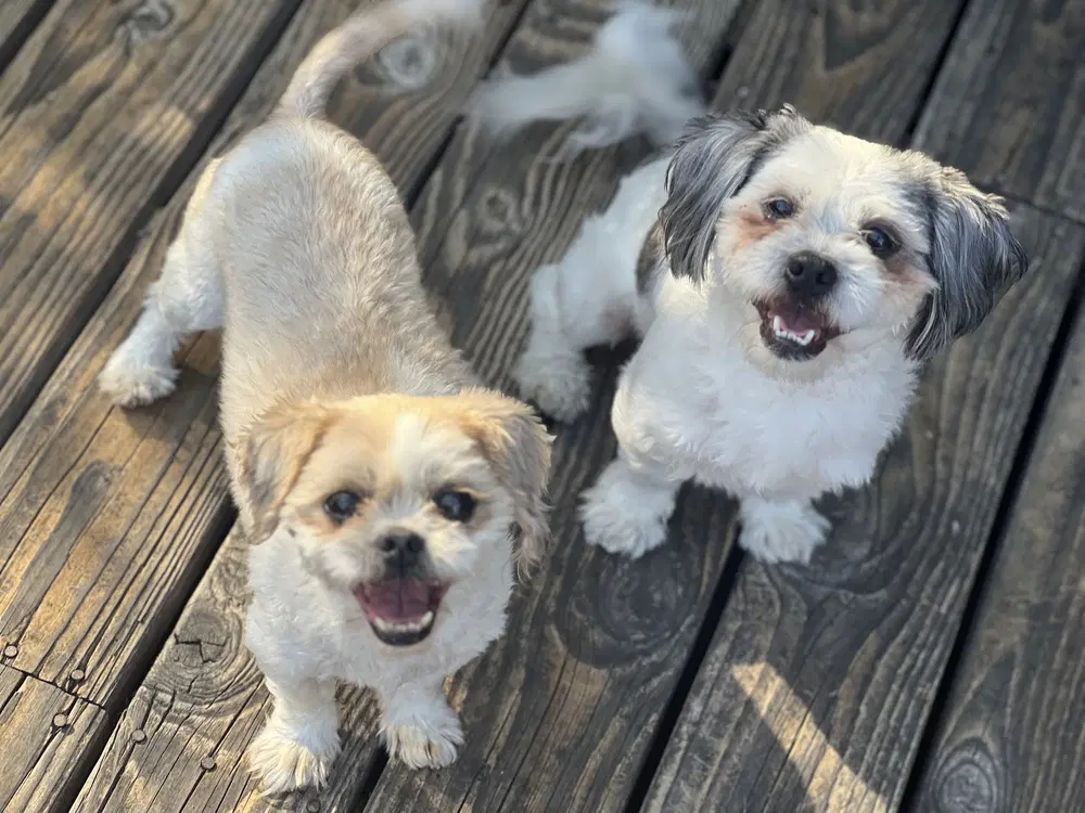 Benson And Bailey image 4