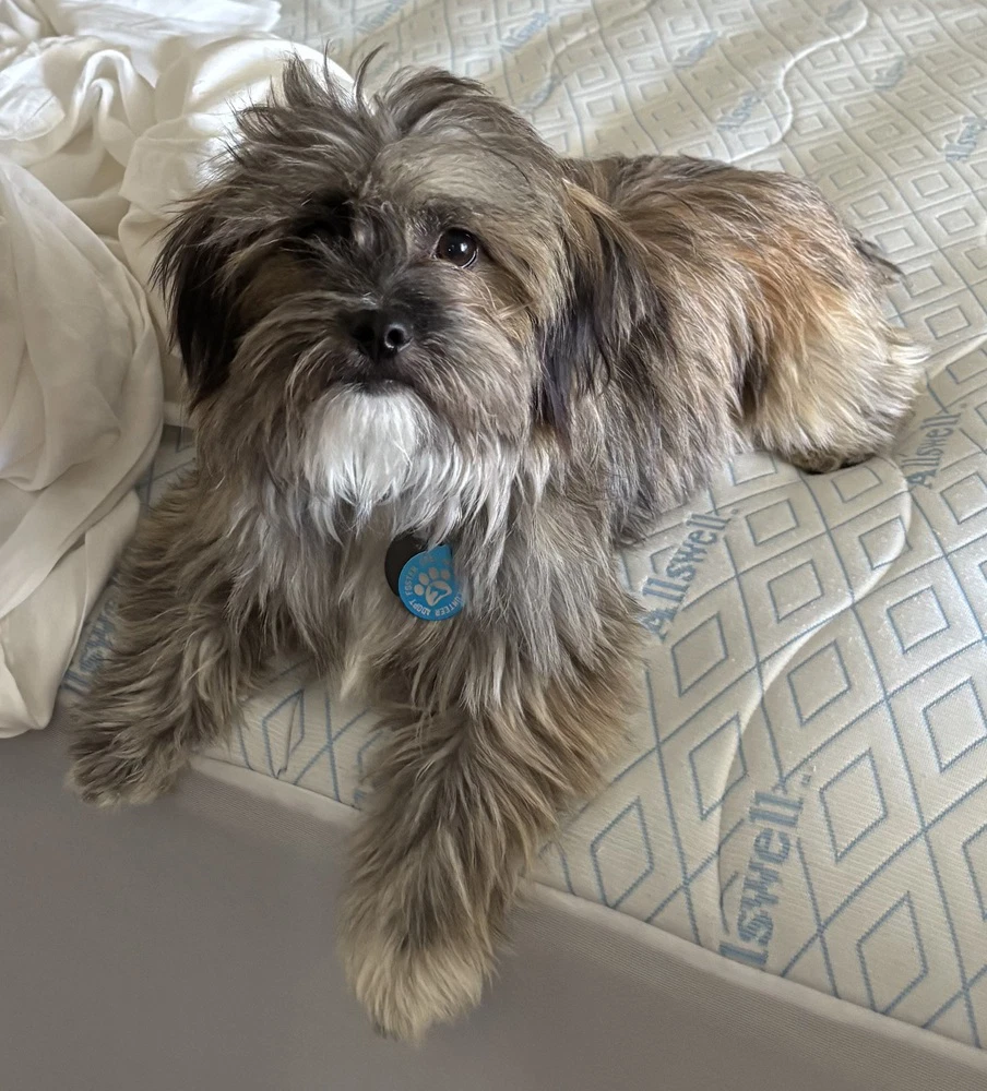 Jax