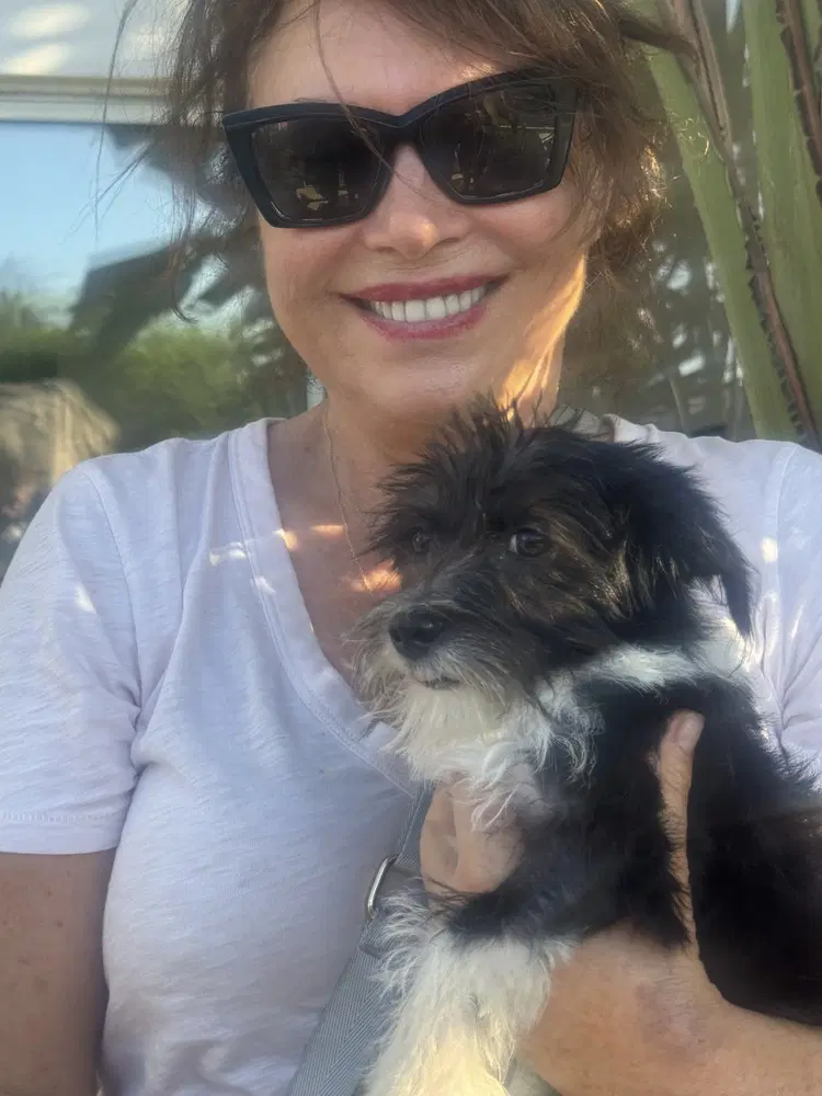 Gigi image 4