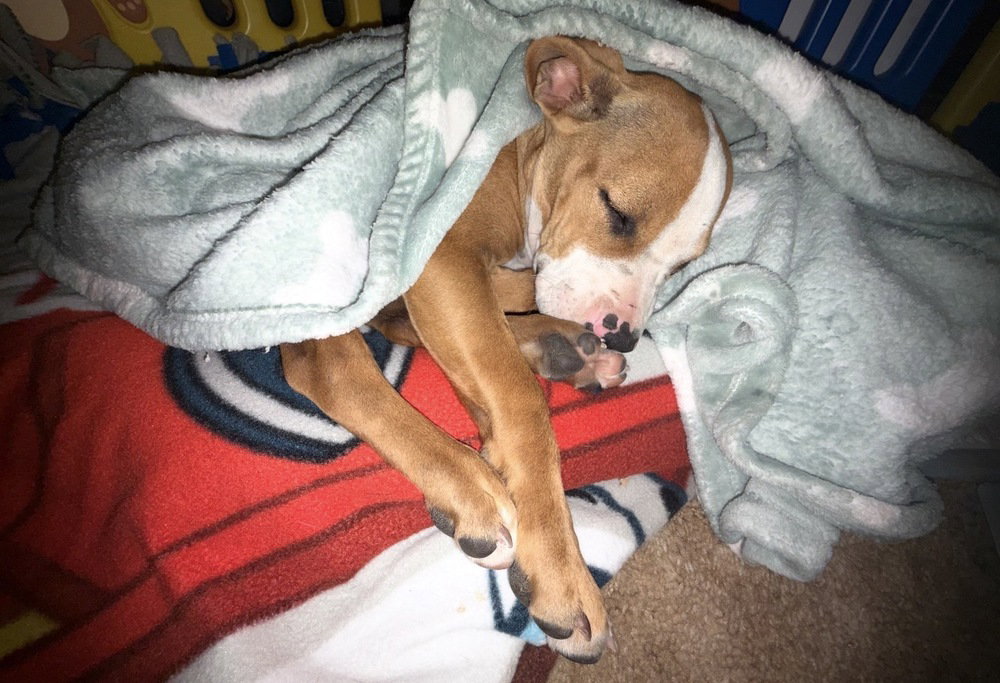 Benny