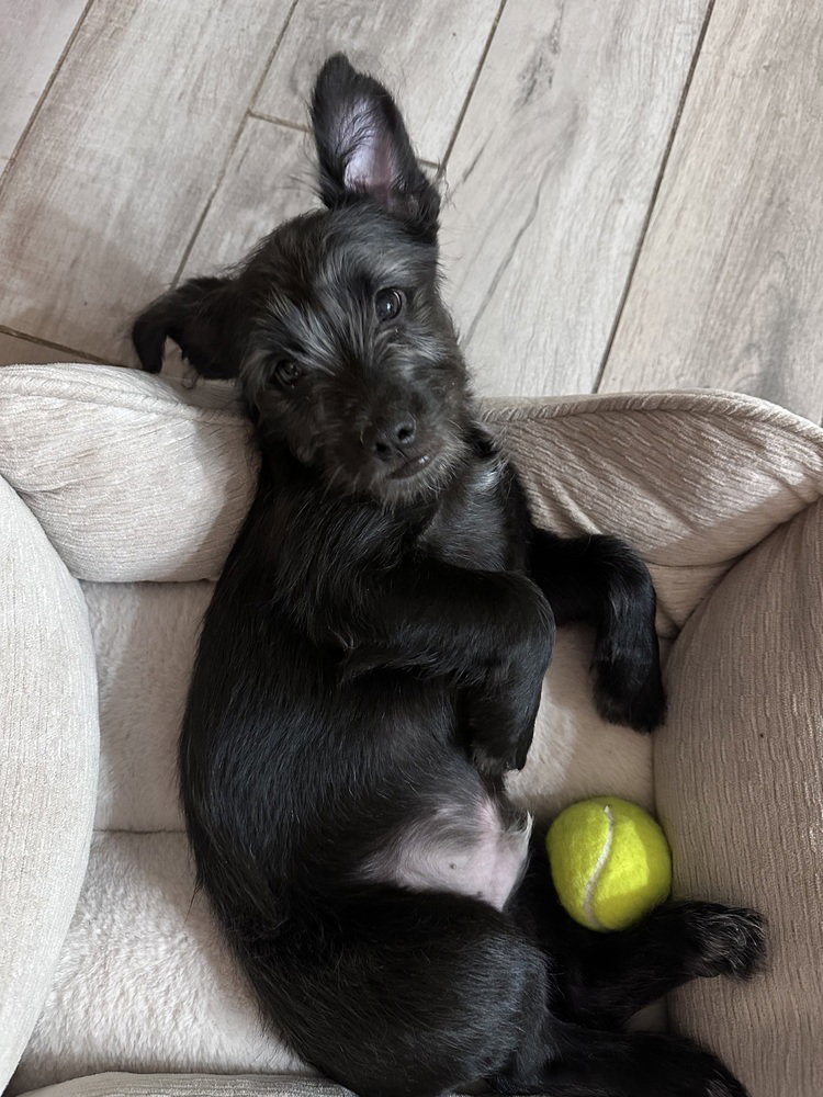 Jack