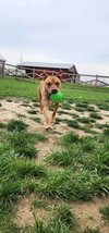 Caldwell - Photo 4