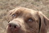 Zeus - Photo 4