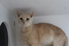 Etta Mommy - Photo 3