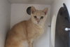 Etta Mommy - Photo 4