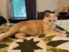 Etta Mommy - Photo 2