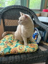 Etta Mommy - Photo 4