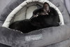 Thachery Binx - Photo 2
