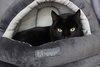 Thachery Binx - Photo 3