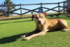 Oatie - Photo 1