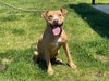 Oatie - Photo 1