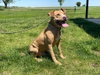 Oatie - Photo 2