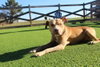 Oatie - Photo 3