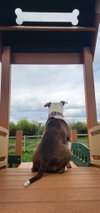 Rocky Road - Photo 2