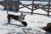 Rocky Road - Photo 4