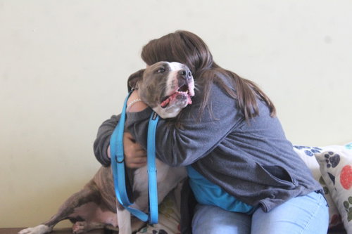 Photo 2 of Chubbs