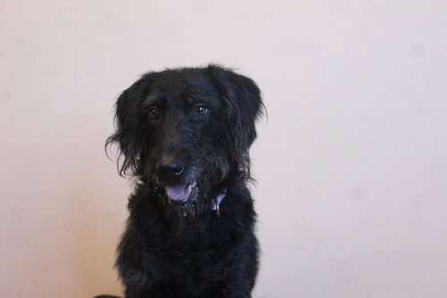 Xena photo 2