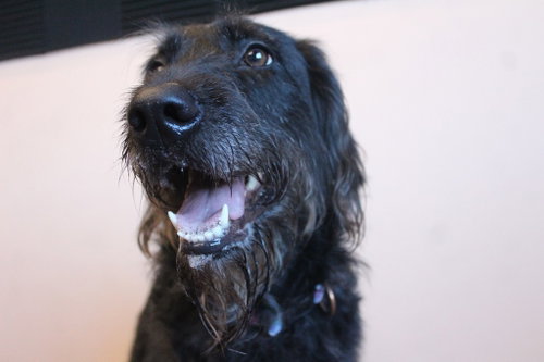Xena photo 3
