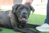 Lugnut - Photo 1
