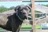 Lugnut - Photo 3