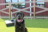 Lugnut - Photo 4