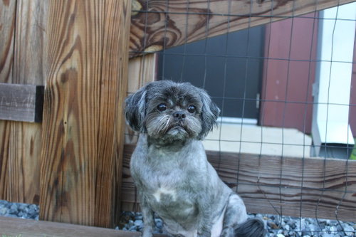 Mcgee photo 3
