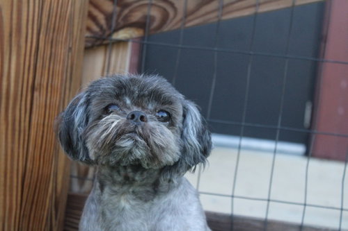 Mcgee photo 4