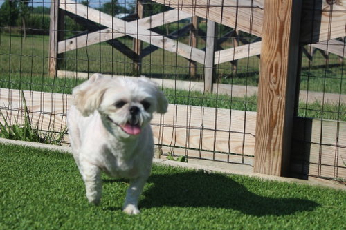 Sadie photo 3