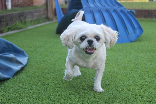 Sadie photo 4
