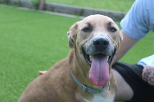 Photo 3 of Maverick