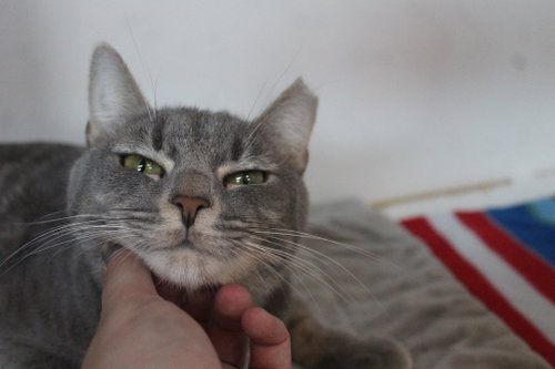 Photo 2 of Val