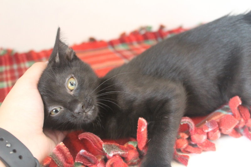 Eureeka, photo 3