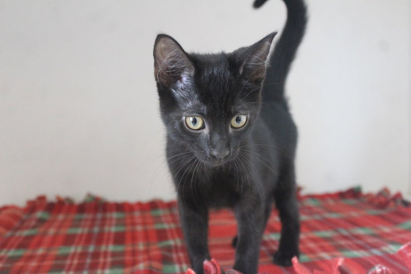 Eureeka, photo 4