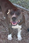 Dorothy - Photo 2
