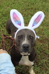 Dorothy - Photo 4