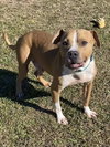 Milton - Photo 3
