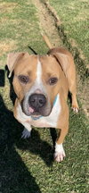 Milton - Photo 4