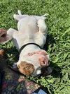 Peaches - Photo 3