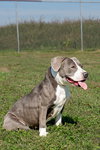 Gabriel - Photo 4