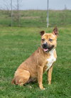 Fannie - Photo 2