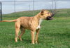 Fannie - Photo 3