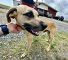 Winston - Photo 3