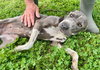 Momma - Photo 2