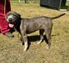 Momma - Photo 3