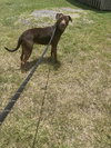 Adrian - Photo 4