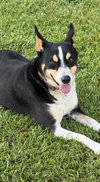 Clyve - Photo 4